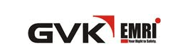 domain-logo